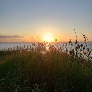 Meet your Posher, Lise